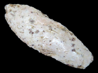3 1/8' Angostura, Paleo, Found By Gary Nelson In Van Buren Co IA