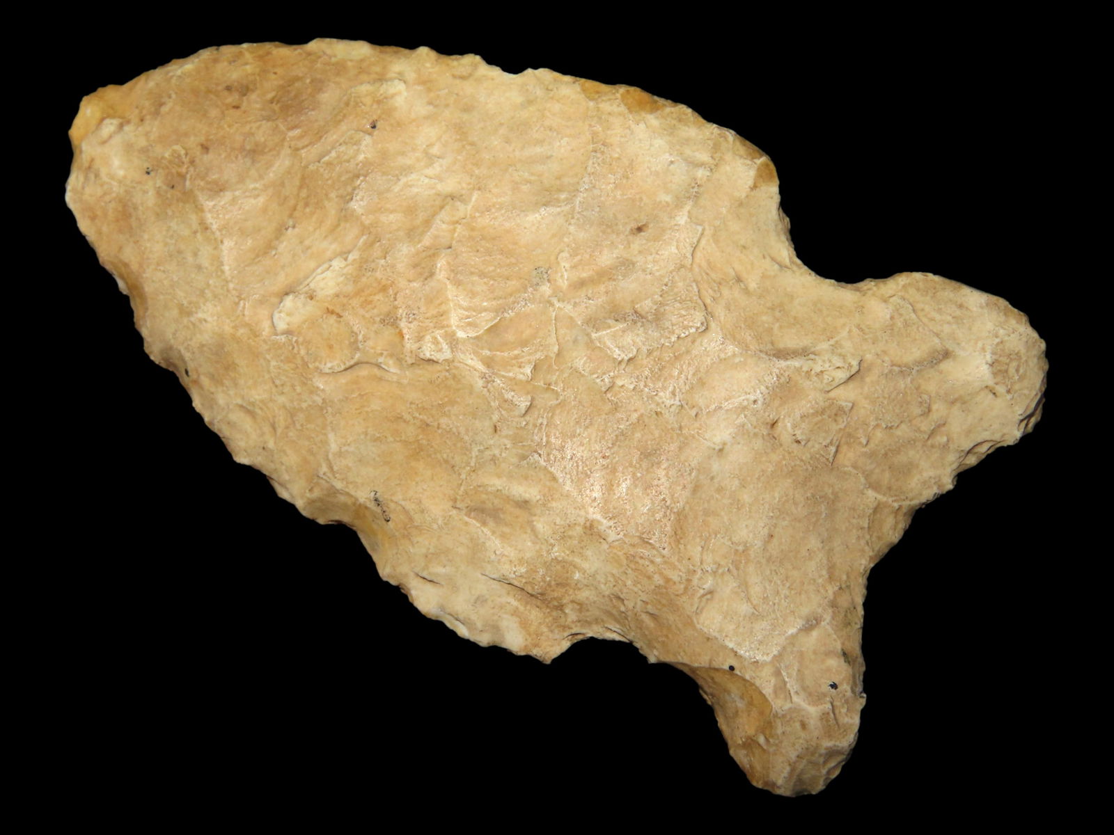 2 7/8" Archaic Side Notch/Graham Cave, Found By Gary Nelson In Van Buren Co IA (1 of 4)