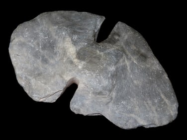 5 1/16' Slate Butterfly Bannerstone, Motley COA, IN