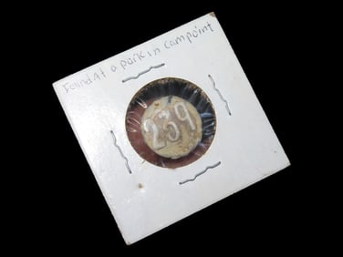 Token Found in Park in Camp Point, Illinois