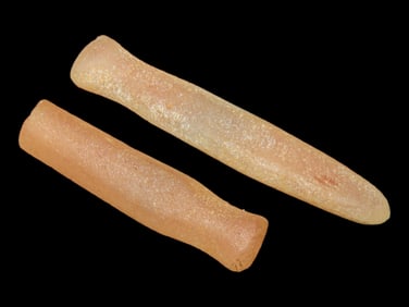 1 1/2' Neolithic NW Sahara Crystal Quartz Ear/Nose Plugs, 3500 Yrs. Old