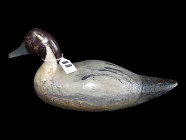 Early Pintail Drake Solid Body Hunter Repaint