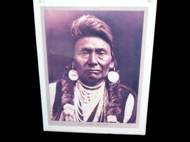 20' X 16' Print of Chief Joseph Nez Perce