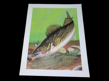 11' X 14' Les Kouba Fish Print