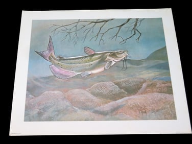 11' X 14' D. Raver Fish Print