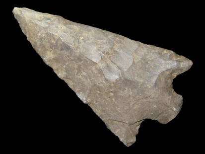2 1/2" Cotoco Creek, found in Kentucky: 2 1/2" Cotoco Creek, found in Kentucky