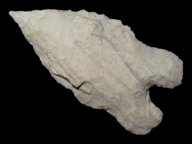 1 3/4' MacCorkle, Found in Kentucky