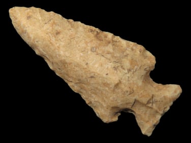 1 1/4' Scallorn, Found in Illinois