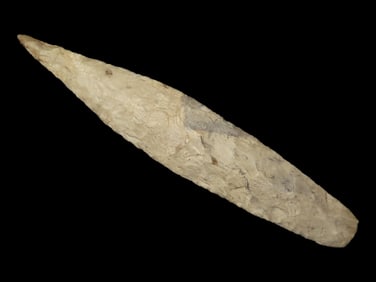 6 3/8' Needle-Tipped Sedalia, Found in Missouri