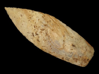 4 1/8' Sedalia, Putty COA, Found in Clay Co., MO