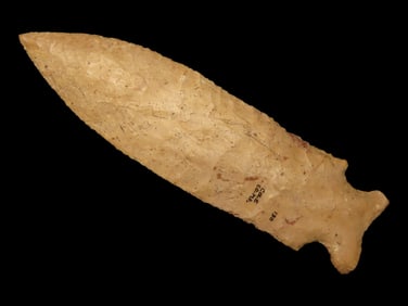 5' Graham Cave, Motley COA, found in Cole Co., Missouri, Ex Chuck L Lamb Collection