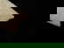 item-207588825=7
