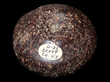 1 5/8' x 3 1/16' Discoidal, Perino COA, found in Scott Co., Kentucky- see COA for description