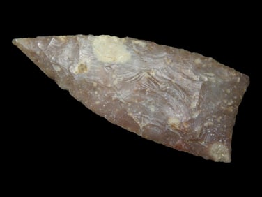 2 3/4' Kinney, Motley COA, found in Texas