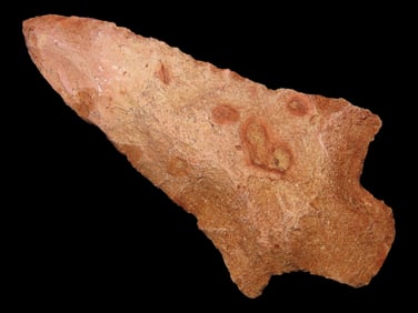4 1/8' Marrow Point from GA made of Coral