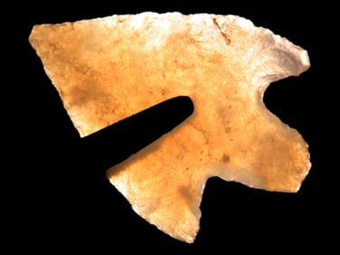1' Agate Sierras California Bird Point