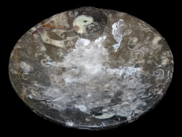 4' Ammonite Fossilized Plate/Bowl