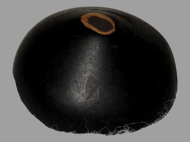 1 13/16' Round x 13/16' Tall Cone, Motley COA, Calhoun Co. IL, Made of Colorful Hardstone