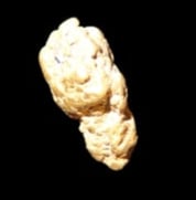 0.7 Gram Authentic Gold Nugget Found by Bill Goodwin in New Mexico in 1962: 0.7 Gram Authentic Gold Nugget Found by Bill Goodwin in New Mexico in 1962