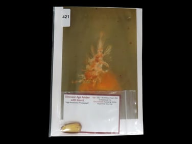 Dinosaur Age Amber with Insect, 100-90 Million Years Old Cretaceous Era, Hukawng Valley Myanmar (Bur