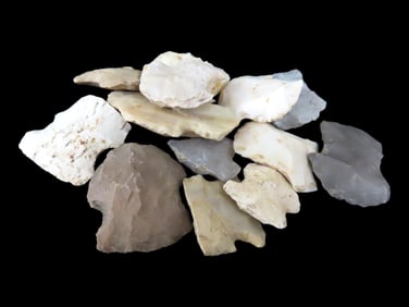 Set of 10 Blunt Stunner Arrowheads, Found in Jackson Co., IL, EX Randall Kambrell