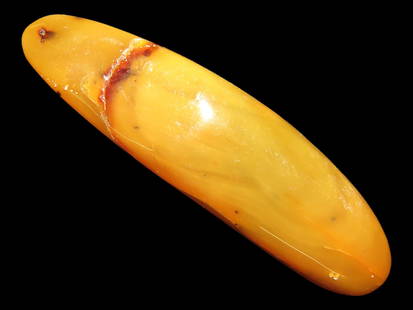 Fossil Amber, Found in Europe, Private Collection, Penn: Fossil Amber, Found in Europe, Private Collection, Penn