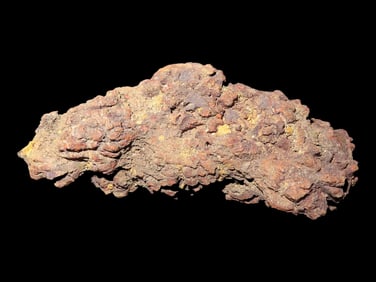 3 3/8' Coprolite Fossil Dinosaur Poop 100 Million Years Old Madagascar