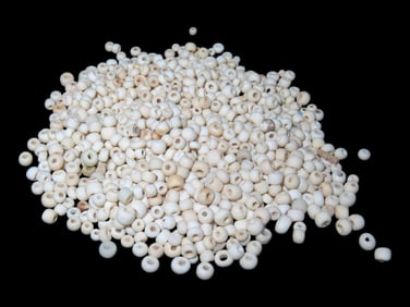Bag of 100+ Early Trade Beads Found as a Cache in Northern Georgia