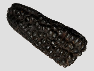 4 3/4' Tall, Pre Columbian Corn Offering