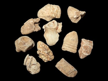 Civil War Musket Balls, Metal Detecting Finds of Boyd Cole Wayne Co., TN