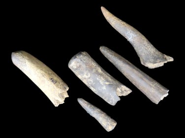 Tennessee Deer Antler Tools Knapping Kit