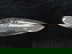 item-207589321=3