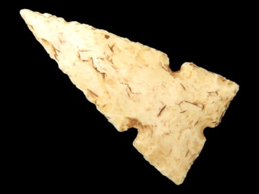 Quality Missouri Birds Points/Cahokia, EX Steve McCabe Coll, Sullivan Co., MO