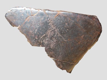 52 gram Meteorite, Cut/Polished, Campo del Cielo, Argentina, South America