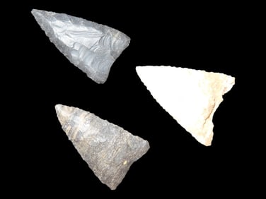 Triangular Point 9000-7000 B.P., Texas, Bell & Surr Co.