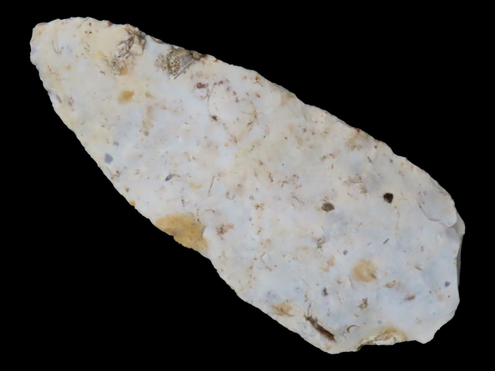 Nassau Co., Florida Arrowheads (1 of 5)