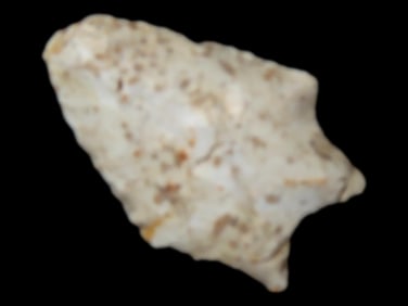 1 3/4' Paleo Florida, Pan Handle, EX Maze