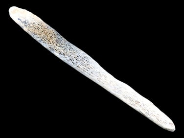 Split Buffalo Rib Bone Quill Flattener, Bolete Madan, Mort Co. ND. FB Curt Hintz