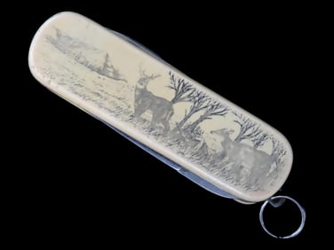 Pocket Knife w/ Deer etchings on each side