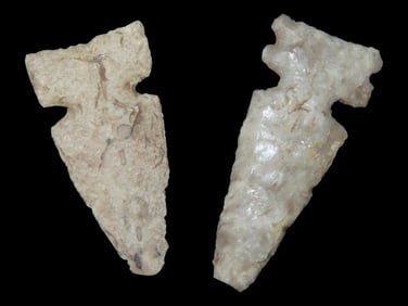 Gouping of 2 Cahokias Found in St. Clair Co. IL