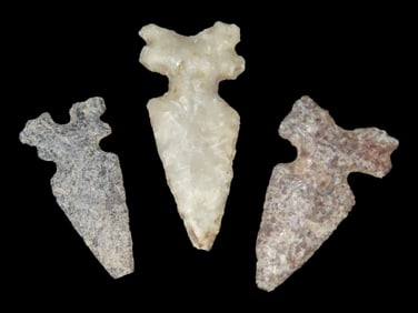 Gouping of 3 Cahokias Found in St. Clair Co. IL