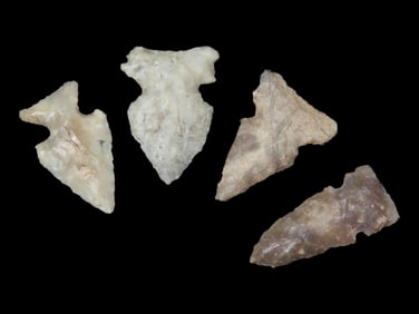 Gouping of 4 Cahokias Found in St. Clair Co. IL