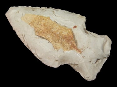 1 3/8" Table Rock Pt., Found By Gary Nelson In Van Buren Co., Iowa