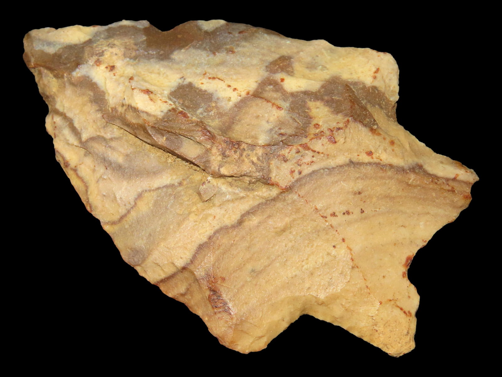 2 3/4" Marion Pt., Great Colors, Found in Southern Georgia, EX Jerry Dickey (1 of 4)