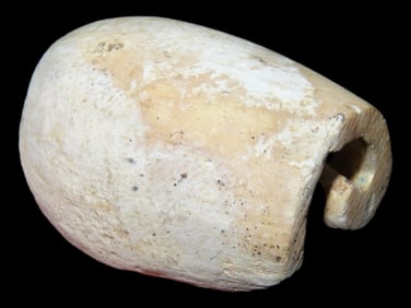1 3/8" Shell Bead, Arizona