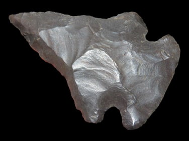 2" Dovetail, Trigg Co., Kentucky