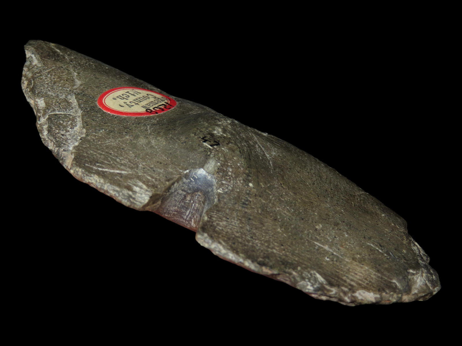 5 1/4" Butterfly Bannerstone, Motley COA, Ogemaw Co., Michigan (1 of 7)