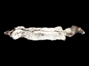 55 1/4" Taxidermy Silver Fox Hide