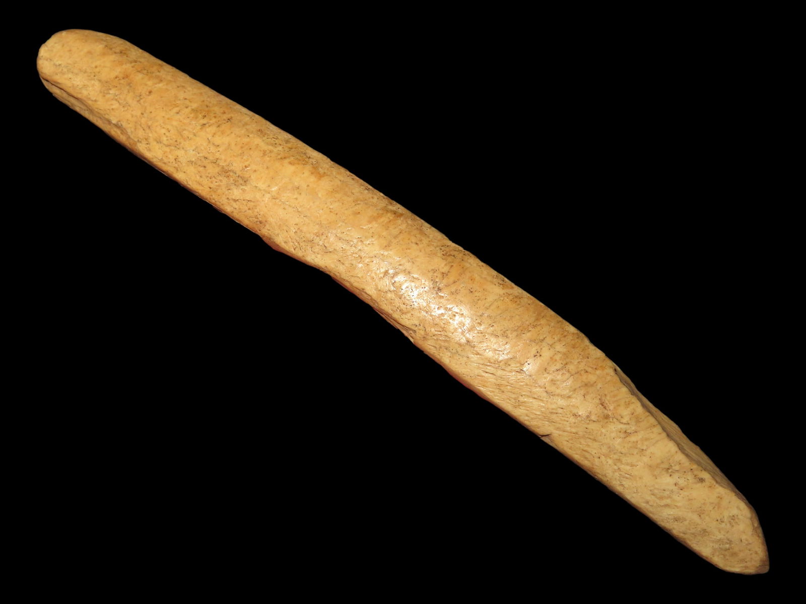 5 7/8" Split Buffalo Rib Bone Quill Flattener Boley Site Mandan, Morton Co., North Dakota, By Curt H: 5 7/8" Split Buffalo Rib Bone Quill Flattener Boley Site Mandan, Morton Co., North Dakota, By Curt Hintz