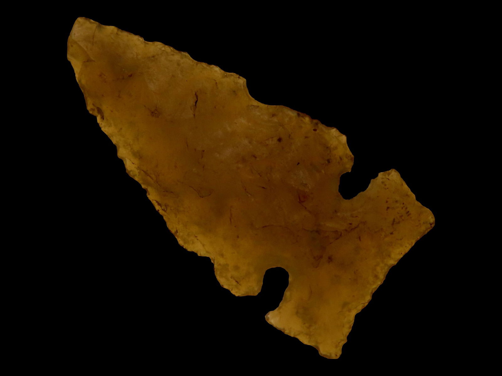 1 1/8" Plains Side Notched Pt., Motley COA, Colorado (1 of 8)